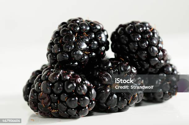 Brombeeren Foto de stock y más banco de imágenes de 2015 - 2015, Alimento, Biología