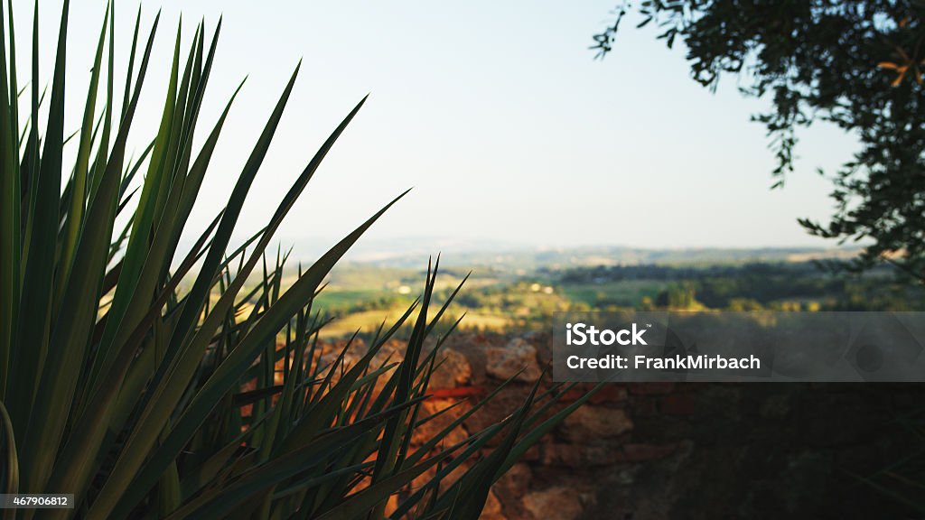 Stunning Views over Tuscany, Florence, Italy Beautiful views over Tuscany, Italy. 2015 Stock Photo