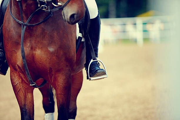 istock Foot of the athlete in a stirrup 467906844