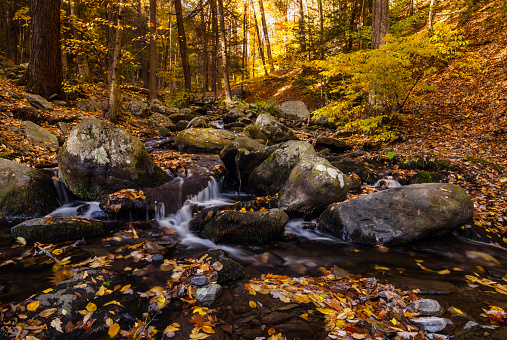 Beautiful image of a creek flowing in Bushkill Falls State Park in Pennsylvania in USA on a fine autumn day. I created this beautiful image on an overcast day during a family visit to this park. I was really attracted by the e creek flowing over rocks and lush foliage that surrounded this creek. Bushkill Falls is located in Northeast Pennsylvania's Pocono Mountains in the USA
