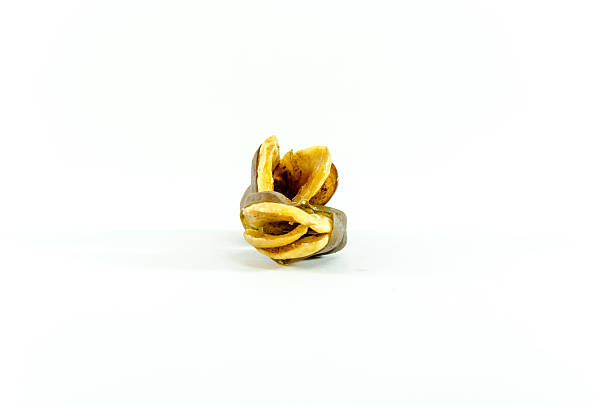 istock Vicia faba bean on white background 467907578