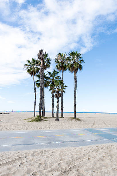 istock Santa Monica Beach Bike Path and Palm Trees 467910404