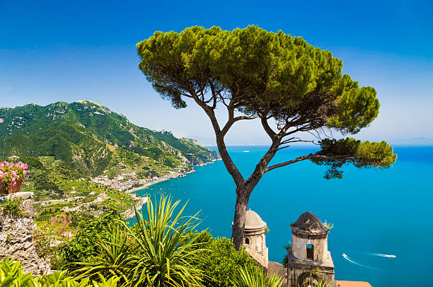 istock Tree overlooking water Amalfi Coast Campania Italy 467910470
