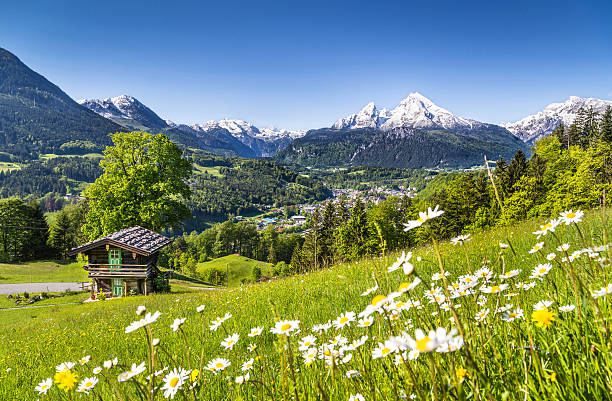 istock A cabin in the idyllic mountain landscape in the Alps 467910522