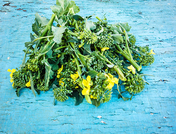 brocoli raab sur fond bleu en bois - broccoli raab photos et images de collection