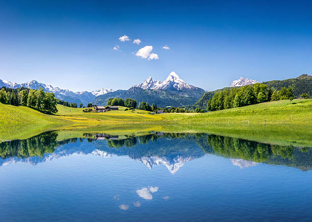 idílico paisagem de verão com lago na montanha alpes - mountain lake austria bavaria imagens e fotografias de stock