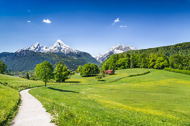 istock Idyllic summer landscape in the Alps 467911378