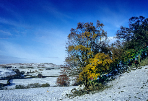 swaledale in the yorkshire dales under winter snow
