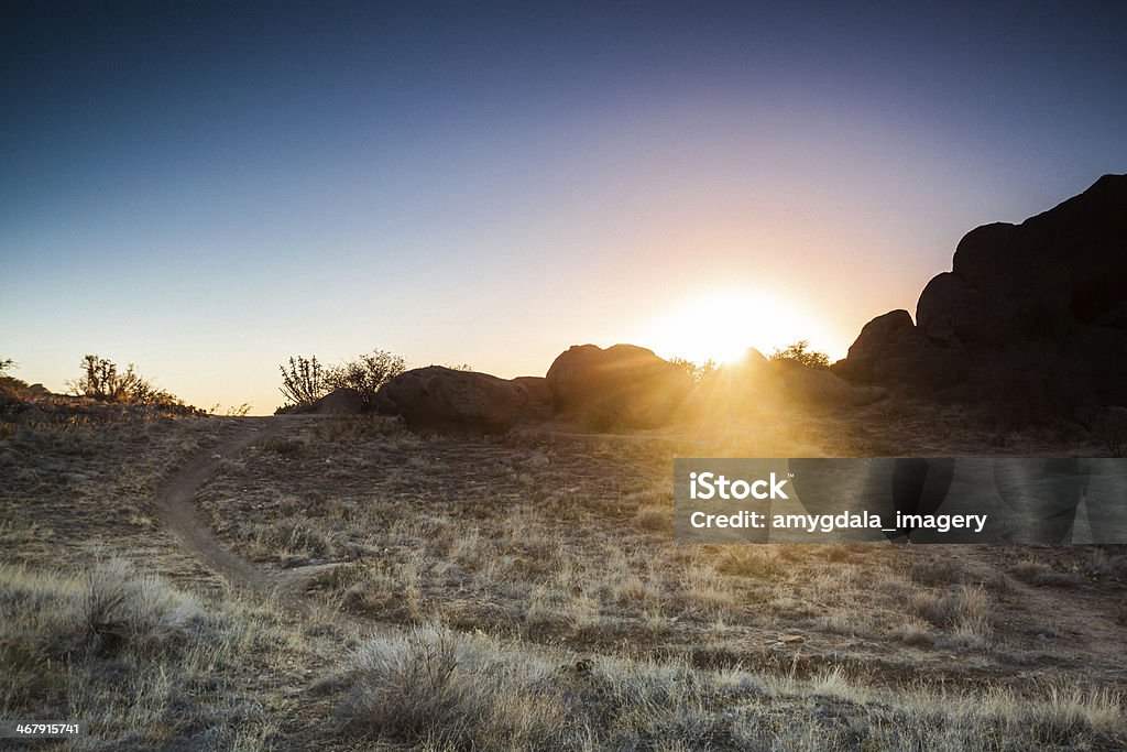 Paisaje del sol del desierto trail - Foto de stock de Aire libre libre de derechos