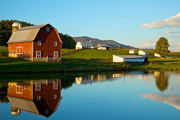 Herbst-REFLEKTIONEN – Foto