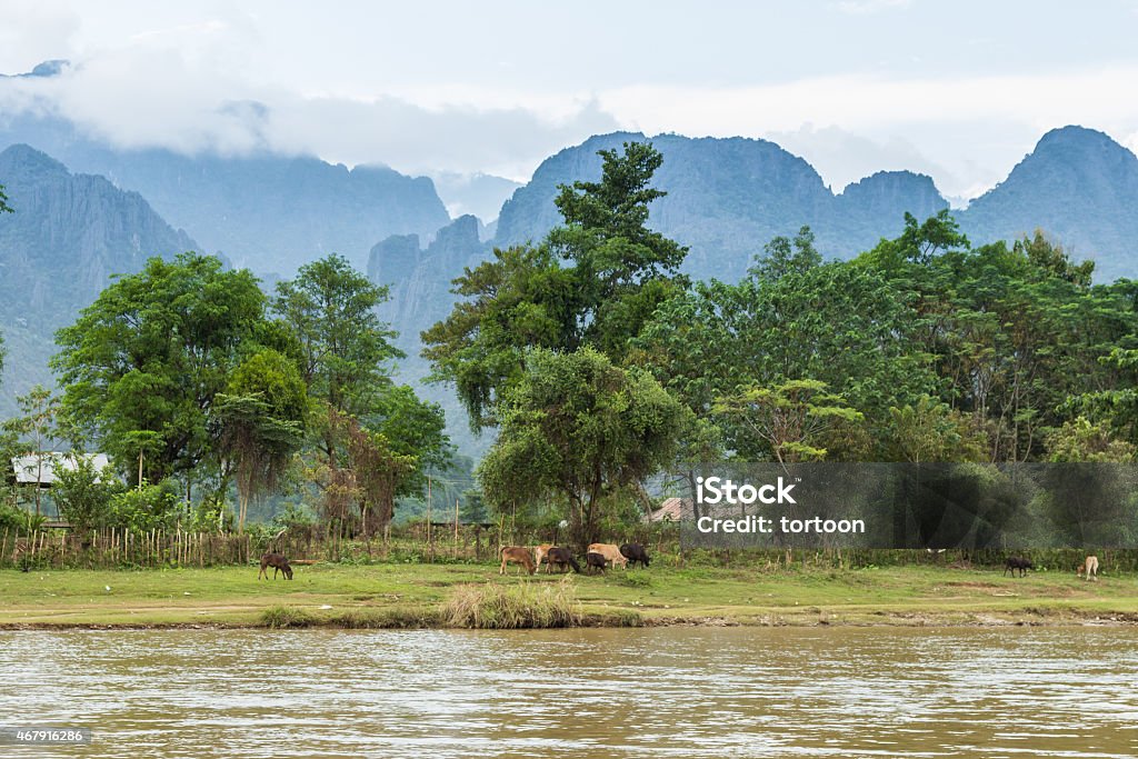 Landscape and mountain in Vang Vieng, Laos. 2015 Stock Photo