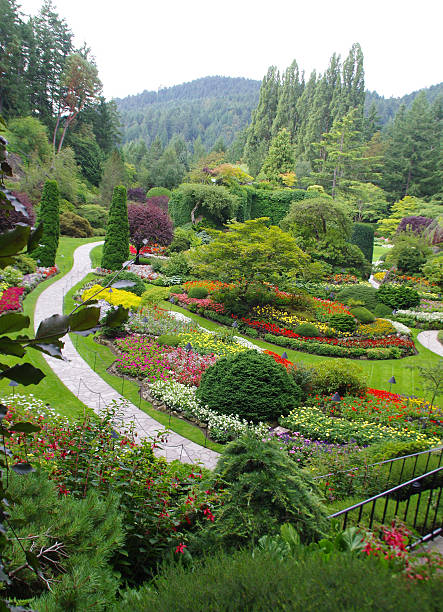 istock Sunken Garden at Butchart Gardens 467920159
