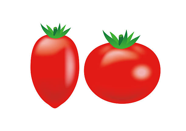 ilustraciones, imágenes clip art, dibujos animados e iconos de stock de conjunto de tomate y tomates. - cherry tomato tomato white background vegetable
