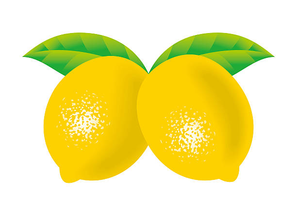 cytryna z liści - lemon isolated clipping path white background stock illustrations