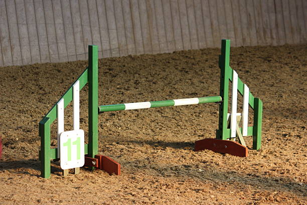 istock green and white agility jump 467922722
