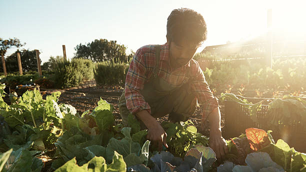 istock Grown with our own hands...In touch with the earth 467922788
