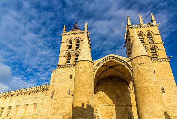 Montpellier Cathedral of Saint Pierre - France, Languedoc-Roussi Montpellier Cathedral of Saint Pierre - France, Languedoc-Roussillon nostradamus stock pictures, royalty-free photos & images