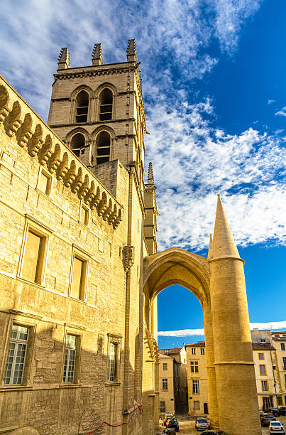 Montpellier Cathedral of Saint Pierre - France Montpellier Cathedral of Saint Pierre - France, Languedoc-Roussillon nostradamus stock pictures, royalty-free photos & images