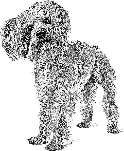 Vector illustration of Grumpy Dog