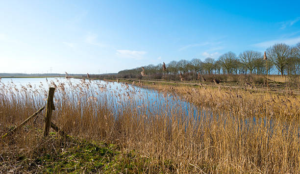 istock The shore of a lake in winter 467924424
