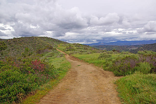 istock Laguna Beach Canyon Hiking Trail 467925506