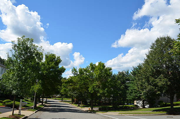 istock Street with trees and sky 467925944