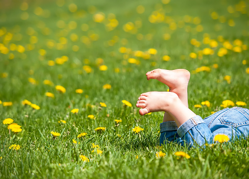 Side view of a toddler girl's feet up in the air in summer. The girl is laying on her front in a lawn full of blooming yellow dandelion flowers. She is only visible from the waist down.