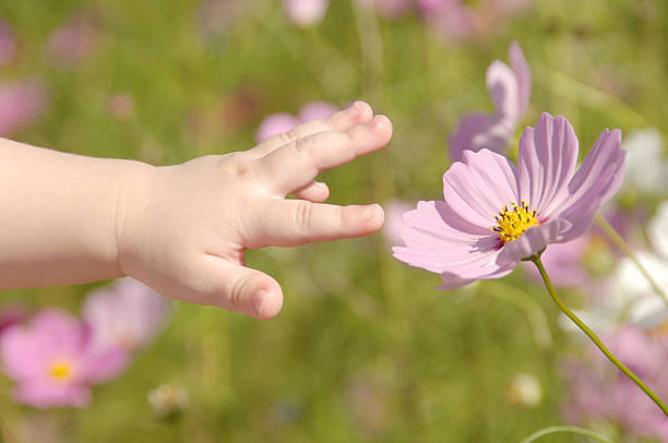 istock Baby's hand trying to touch flower 467931334