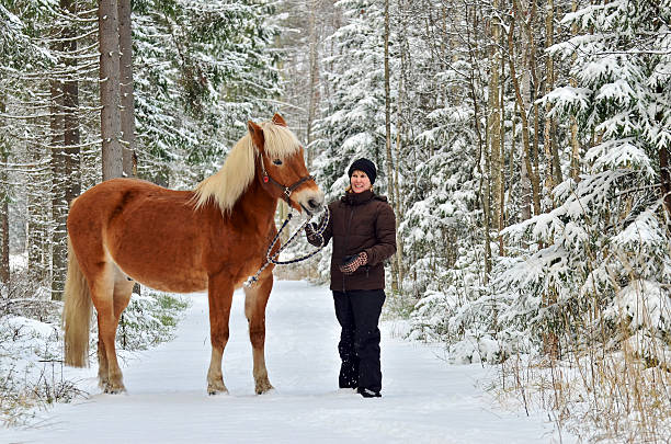 istock Horse and woman in forest 467932746