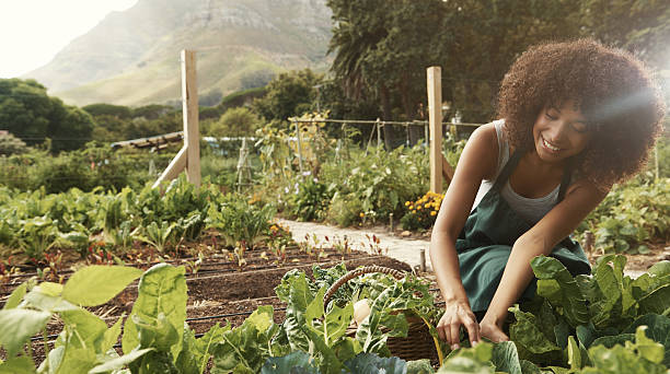 istock Going organic is the only way to eat 467938842