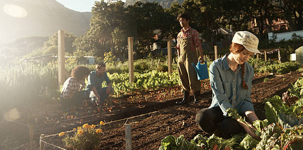 istock Hard at work under the afternoon sun 467938858