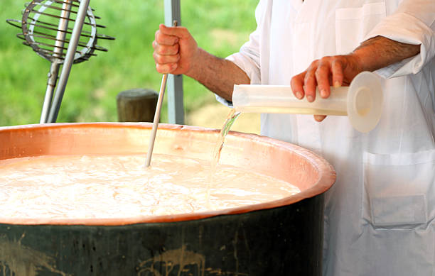 old cheesemaker pours leche cuajo de ternera en cazuela de cobre - cuajar fotografías e imágenes de stock