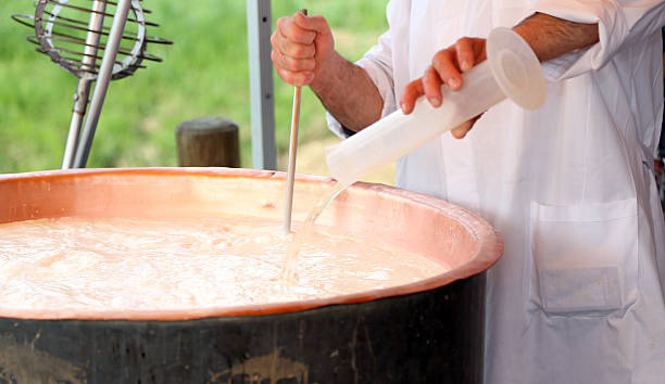 viejo cheesemaker pours leche cuajo de ternera en cazuela de cobre - cuajar fotografías e imágenes de stock