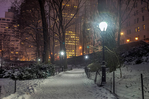 istock Central Park, New York City at night 467940825