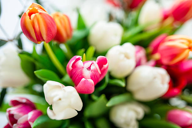 istock colorful tulips bouquet 467941110