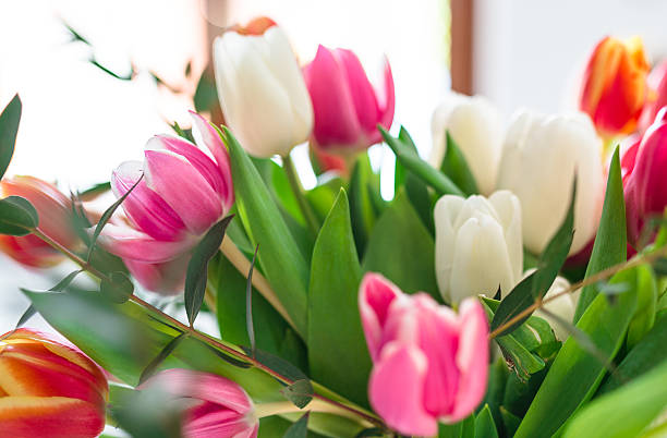 istock colorful tulips bouquet 467941180