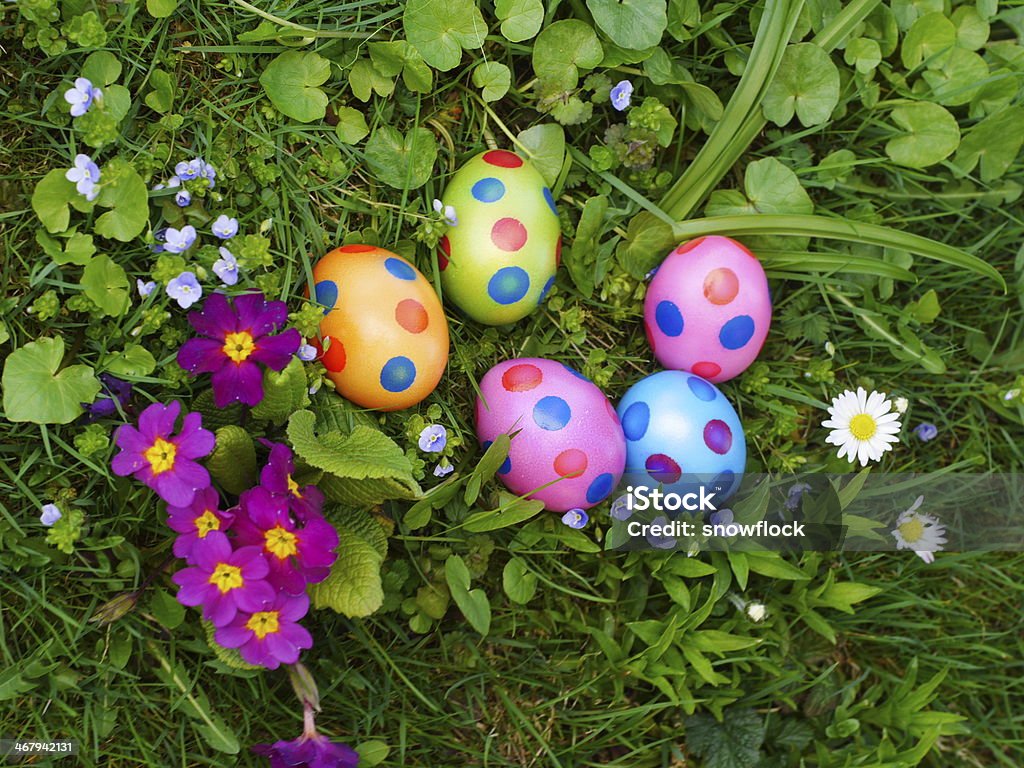 Painted Easter eggs next to purple primroses on grass coloured easter eggs on the lawn Easter Egg Stock Photo