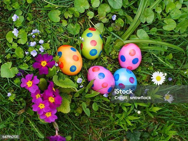 Painted Easter Eggs Next To Purple Primroses On Grass Stock Photo - Download Image Now