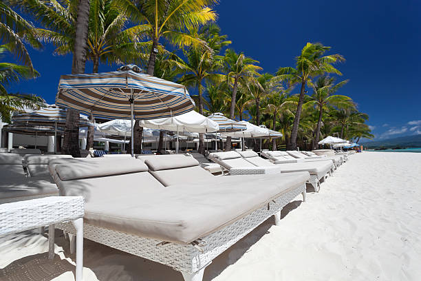 istock Sun umbrellas and sun loungers 467942298