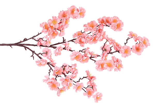 istock Branch of blooming artificial pink flowers. 467943791