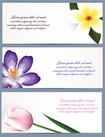 Set of brochure design, flower vector eps10 template.