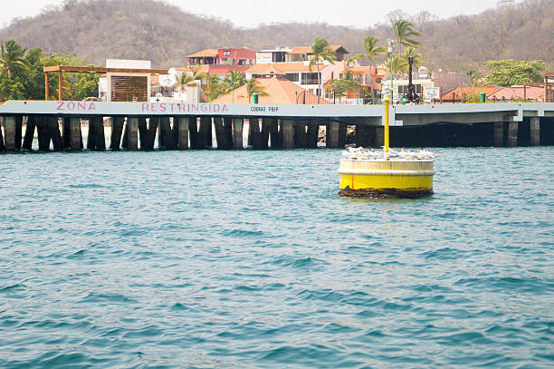 bóia de bacon com gaivotas perching em santa cruz huatulco porto. - buoy anchored sea wave - fotografias e filmes do acervo