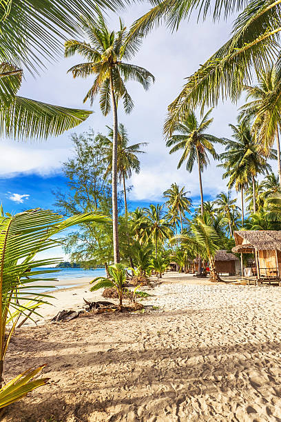 istock Cheap bungalows on a tropical beach 467953374