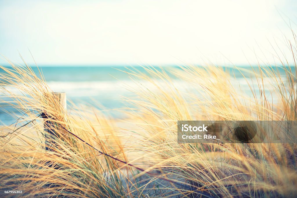 Dias no mar - Foto de stock de Duna royalty-free