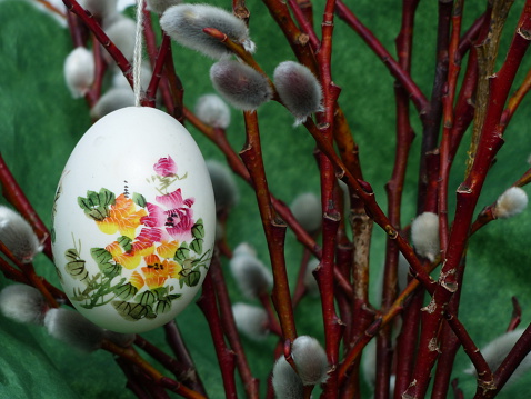 Easter customs. Catkin (Salix caprea), hand painted eggs and Bunnys...