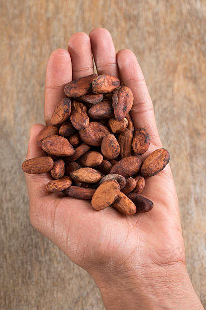 istock superior  view handful of cacao beans 467956006