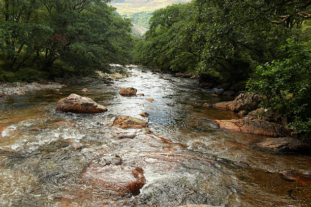 istock Mountain stream in spring, Isla of Mull  - Scotland 467958711
