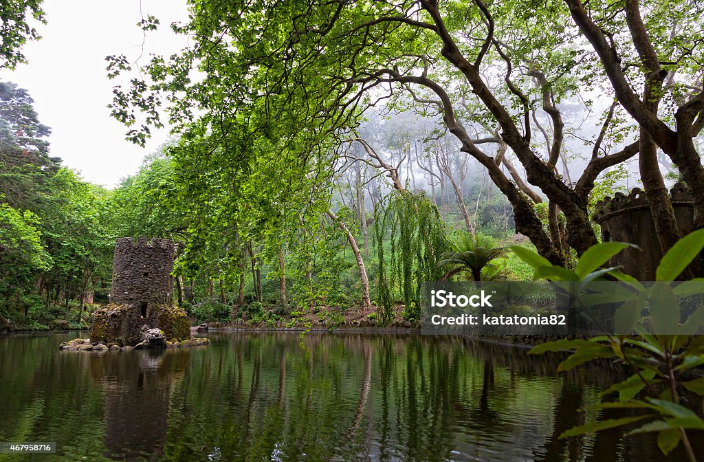 Parque de Palacio Nacional de Sintra Pena en Portugal - Foto de stock de Parque público libre de derechos