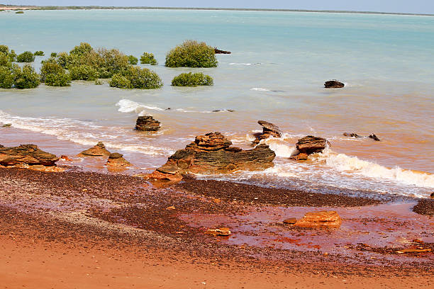 istock Coastal Australian Landscape 467958919