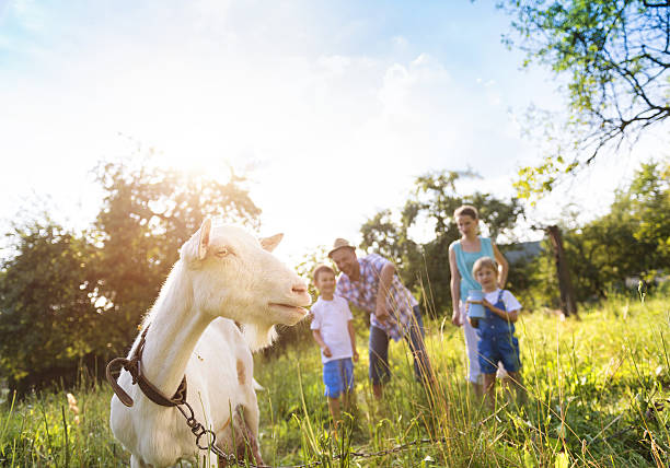 istock Happy family 467960646